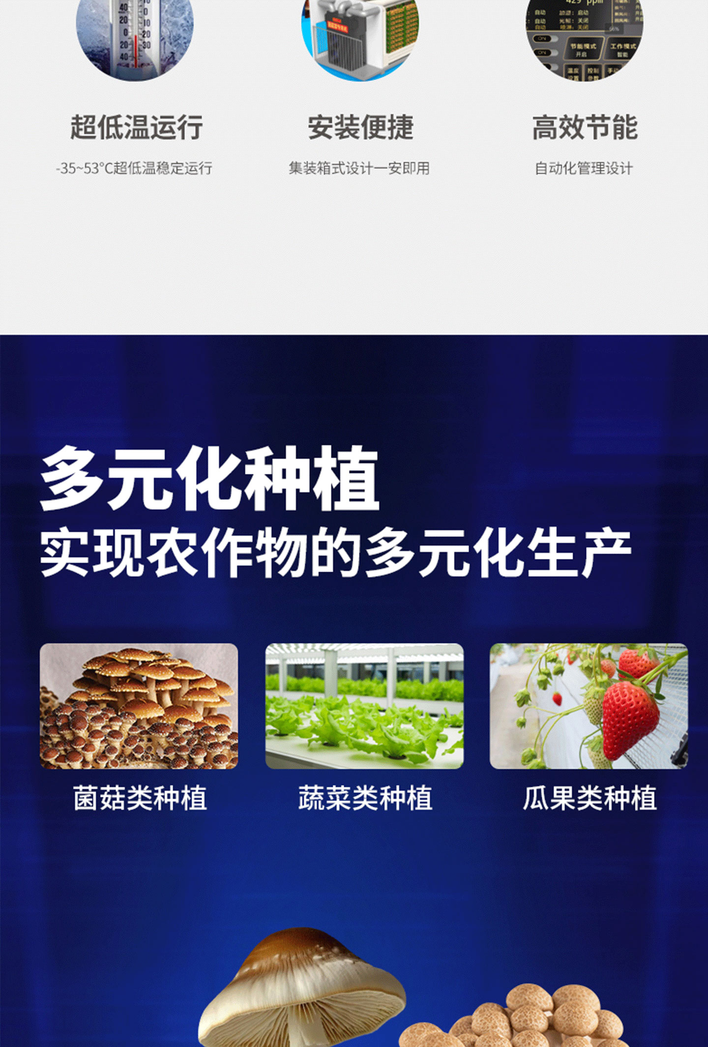 菌菇菜種植方(fang)艙